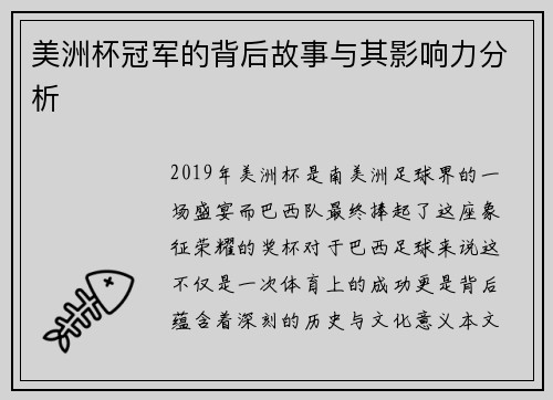 美洲杯冠军的背后故事与其影响力分析